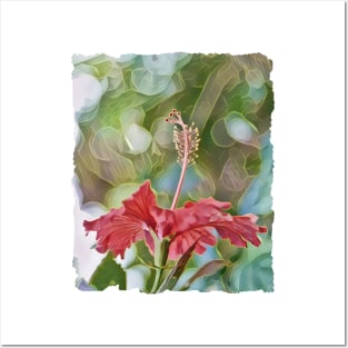 Tropical Hibiscus Flower Posters and Art